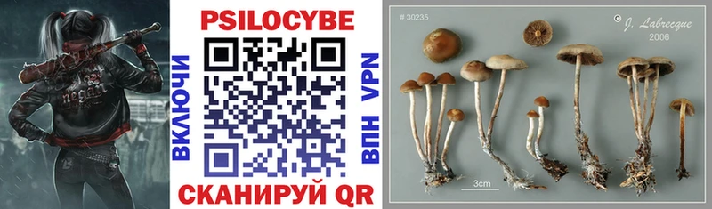 Галлюциногенные грибы мухоморы  Купить  Ершов 